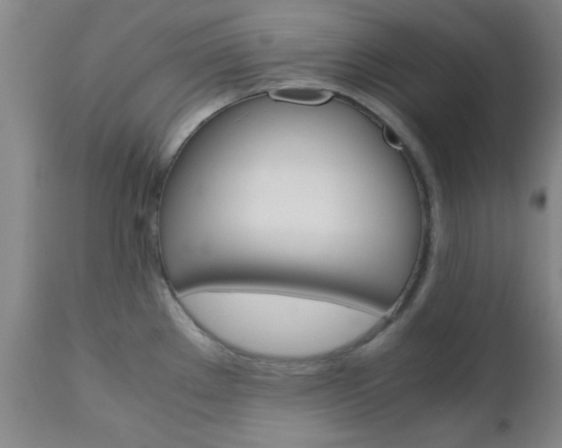 X0000111011289200906191158