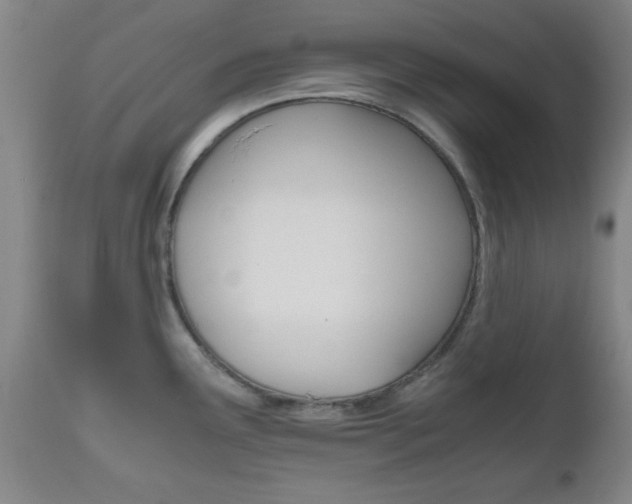 X0000111011291200906191158