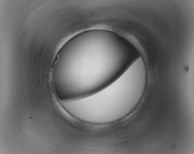 X0000111011292200906191158