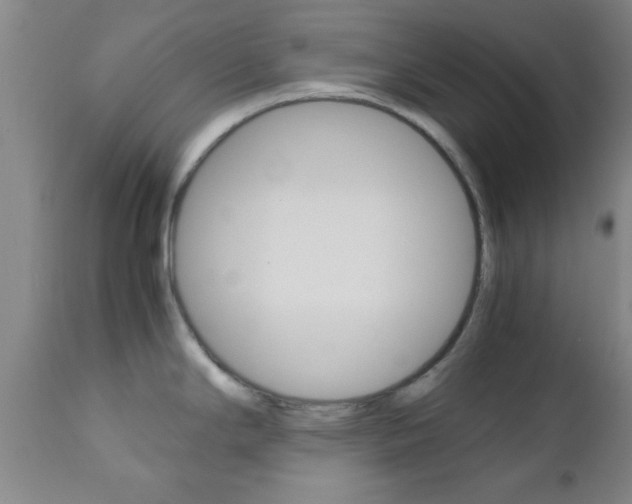 X0000111011294200906191158