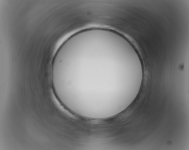 X0000111011295200906191158
