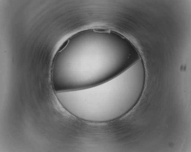 X0000111011296200906191158