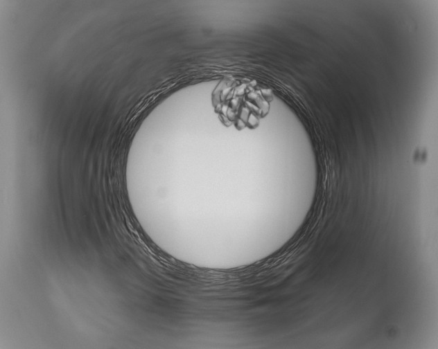X0000111011298200906191158