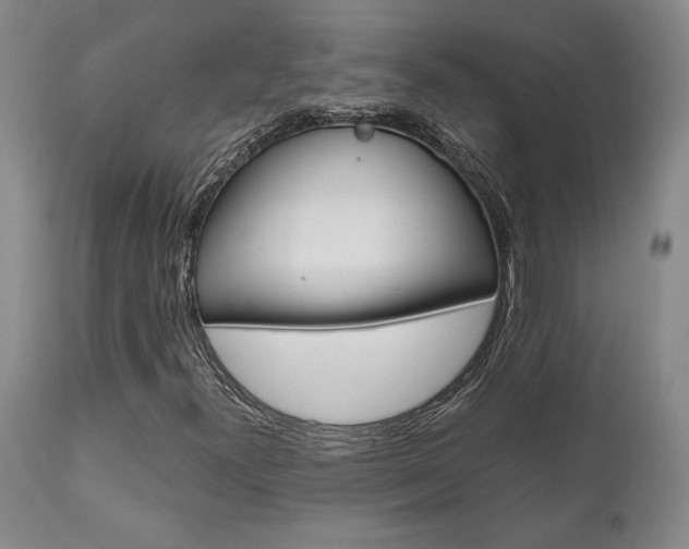 X0000111011300200906191158