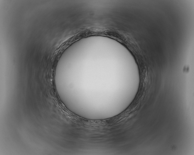 X0000111011301200906191158