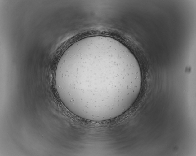 X0000111011302200906191158