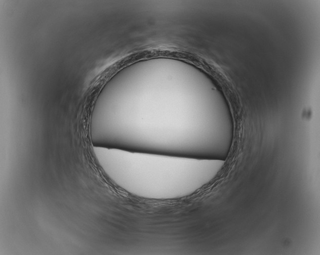 X0000111011303200906191158