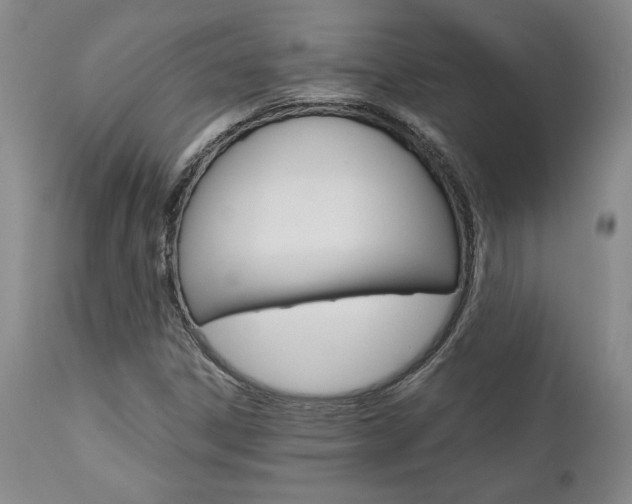 X0000111011306200906191158