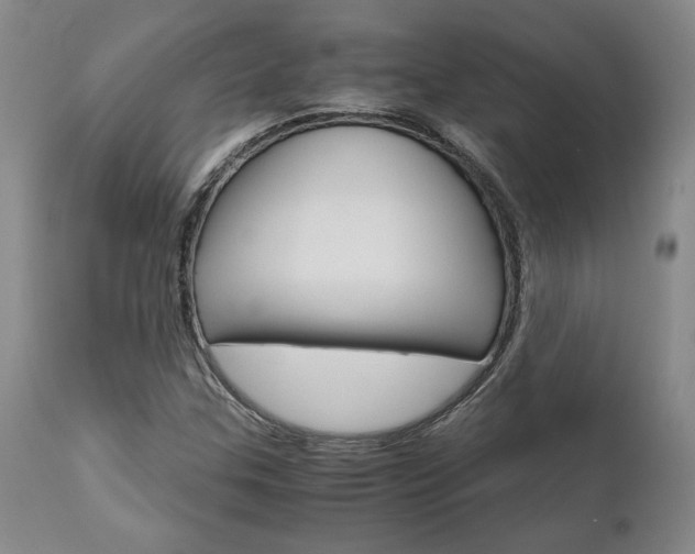X0000111011307200906191158