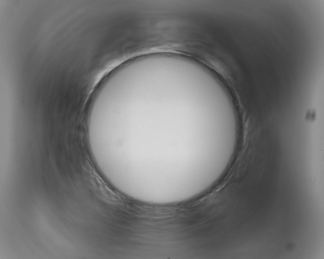 X0000111011308200906191158