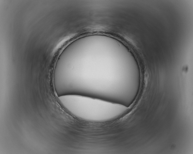 X0000111011309200906191158