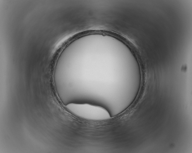 X0000111011311200906191158