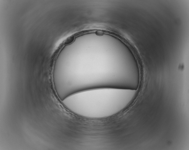 X0000111011312200906191158