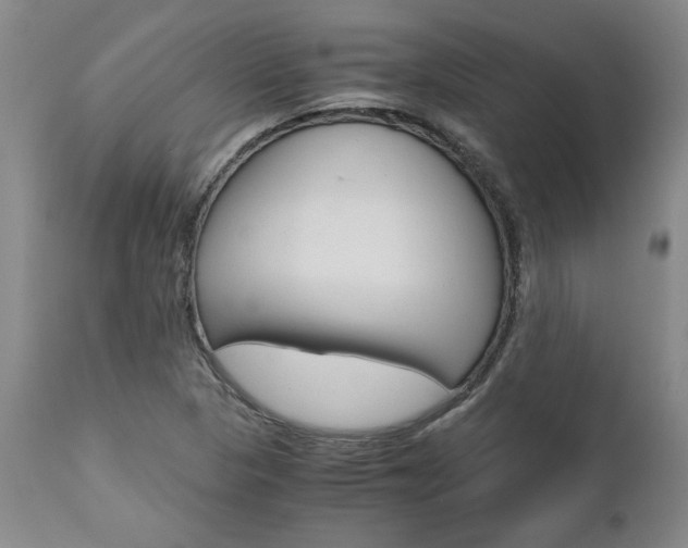 X0000111011313200906191158