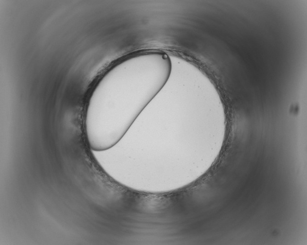 X0000111011314200906191158