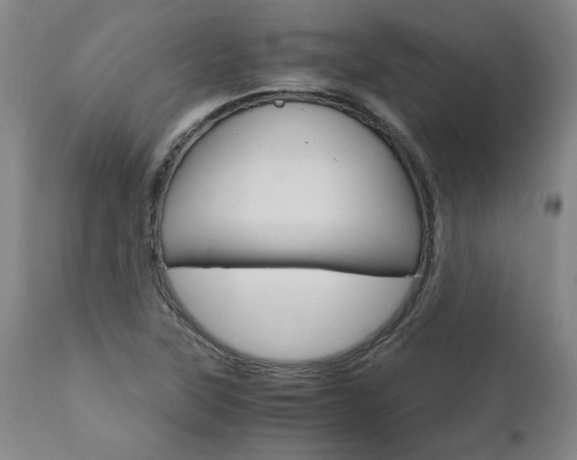 X0000111011315200906191158