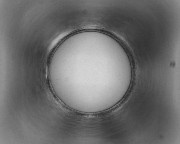 X0000111011317200906191158
