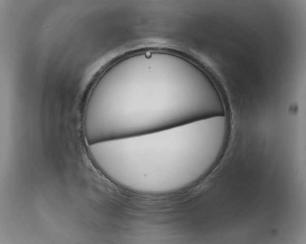 X0000111011318200906191158