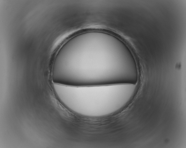 X0000111011319200906191158