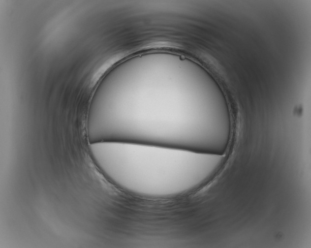 X0000111011321200906191158