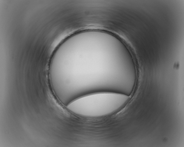 X0000111011325200906191158