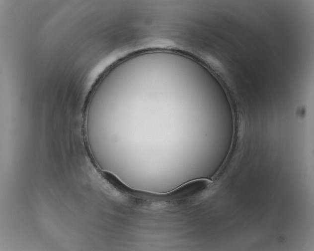 X0000111011326200906191158