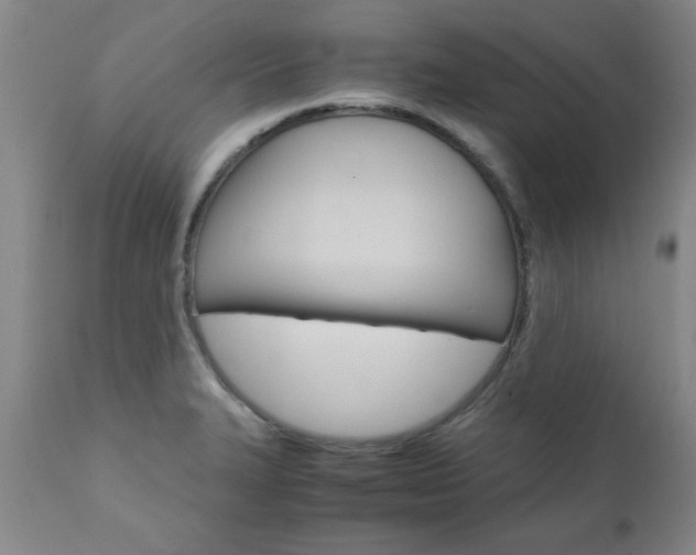 X0000111011327200906191158