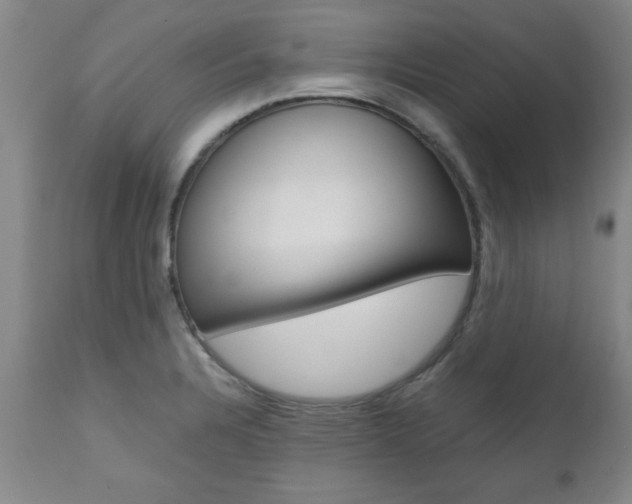 X0000111011328200906191158