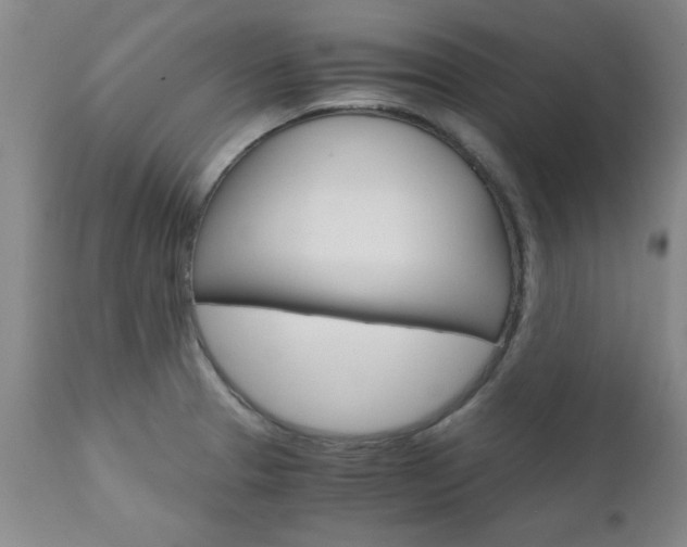 X0000111011329200906191158
