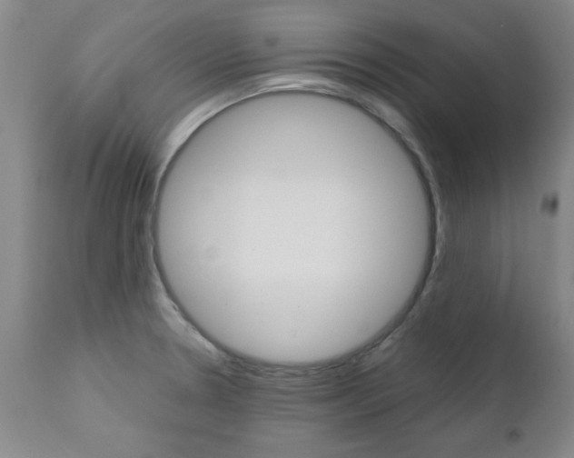X0000111011330200906191158