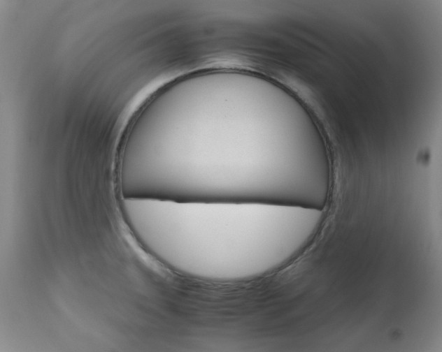 X0000111011331200906191158