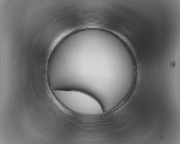 X0000111011333200906191158