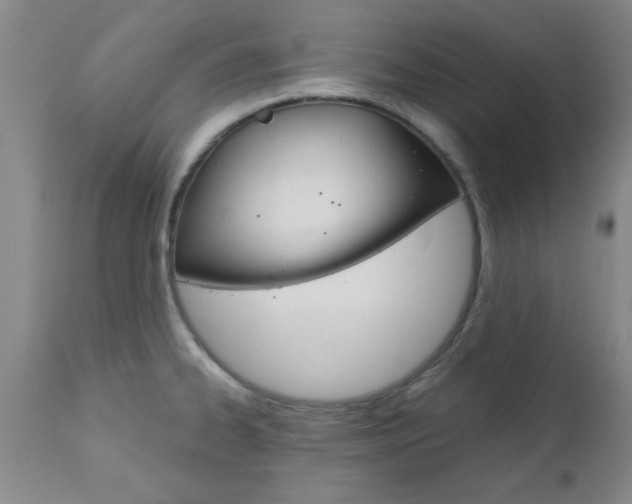 X0000111011334200906191158