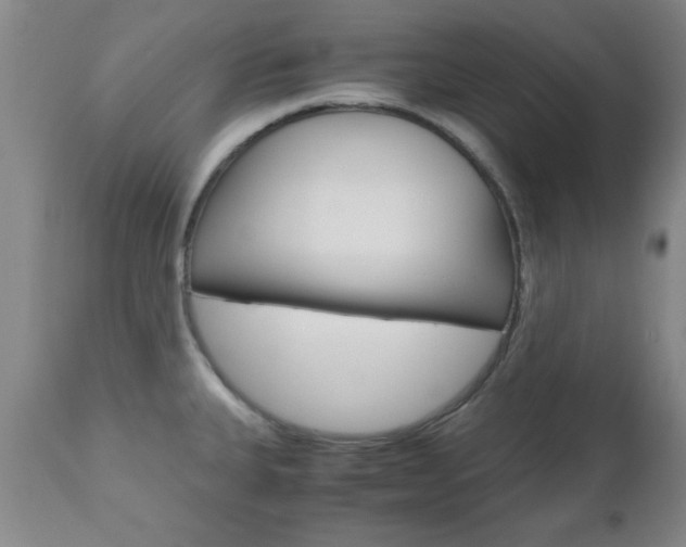 X0000111011335200906191158