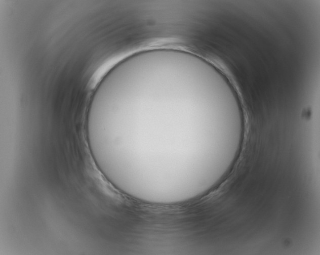 X0000111011336200906191158