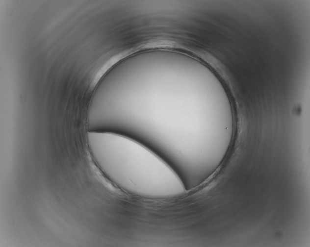 X0000111011337200906191158