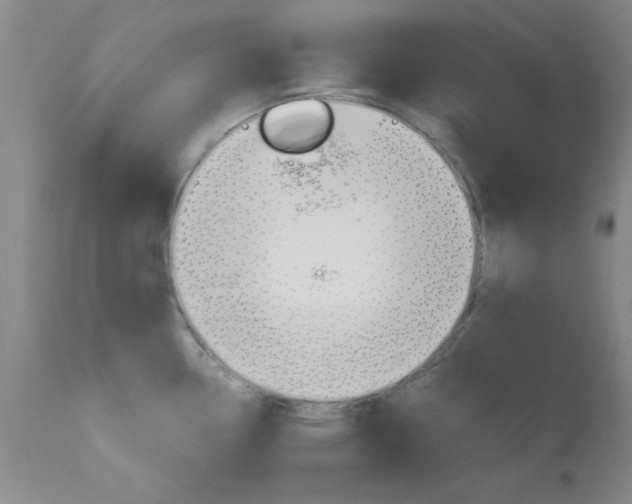 X0000111011338200906191158