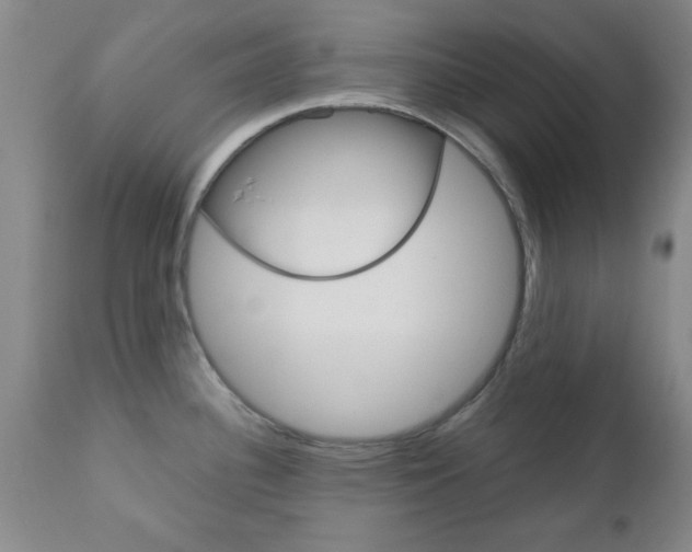 X0000111011340200906191158