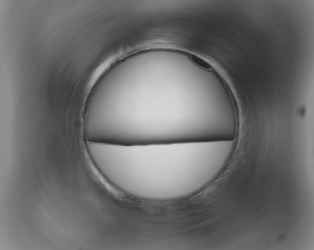 X0000111011341200906191158