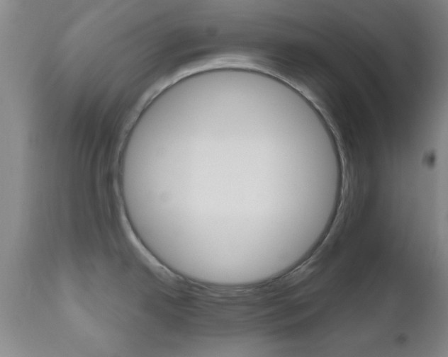 X0000111011342200906191158