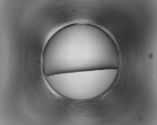 X0000111011343200906191158
