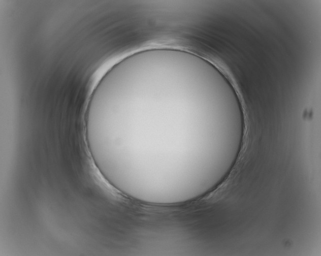 X0000111011344200906191158