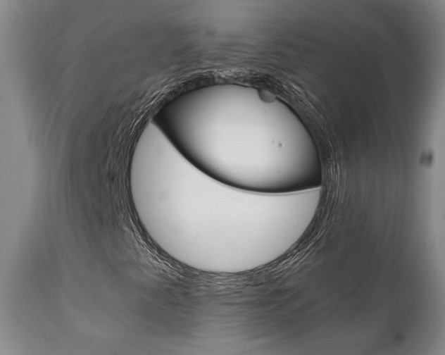 X0000111011345200906191158