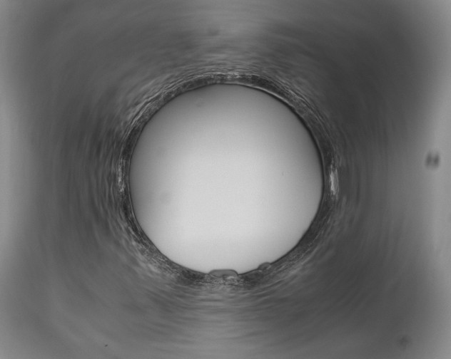 X0000111011347200906191158