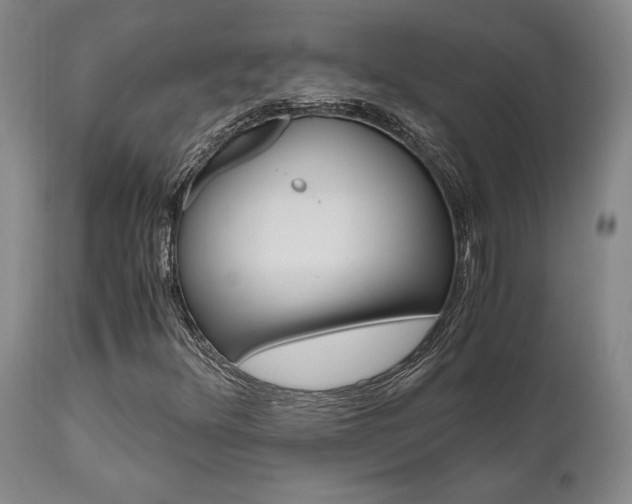 X0000111011348200906191158