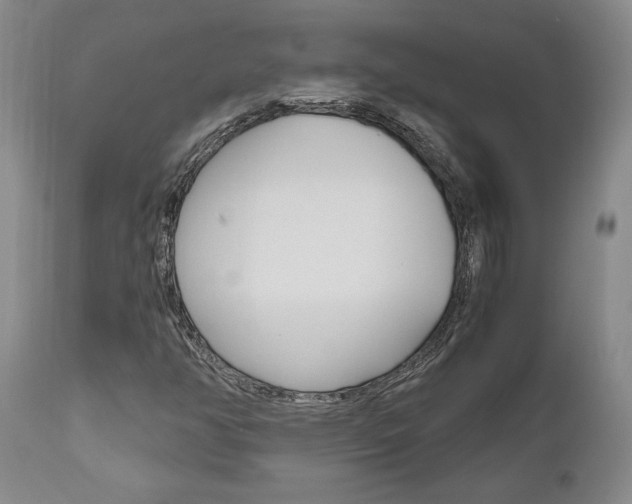 X0000111011350200906191158