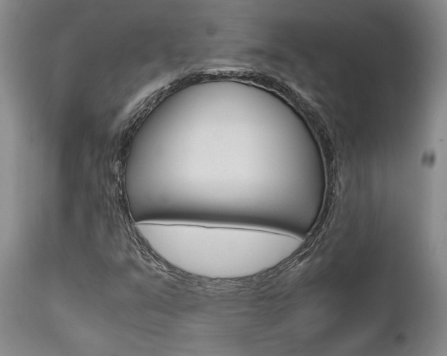 X0000111011351200906191158