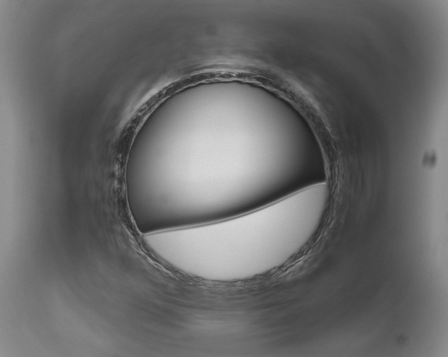 X0000111011352200906191158