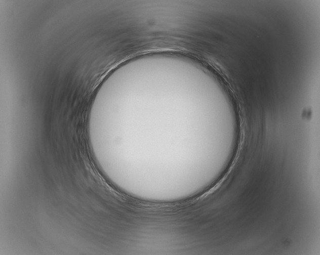 X0000111011353200906191158