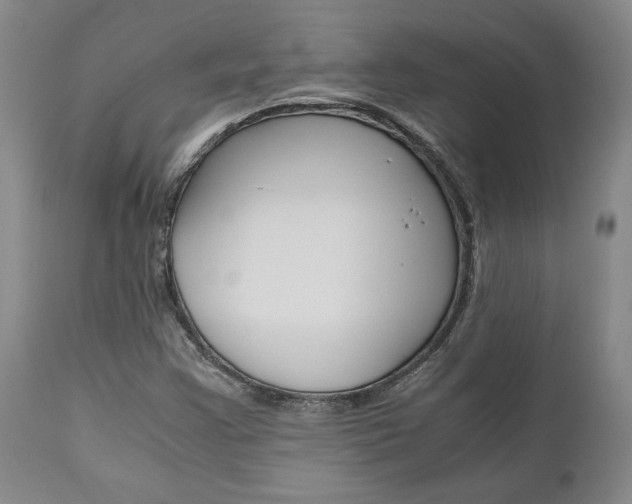 X0000111011355200906191158